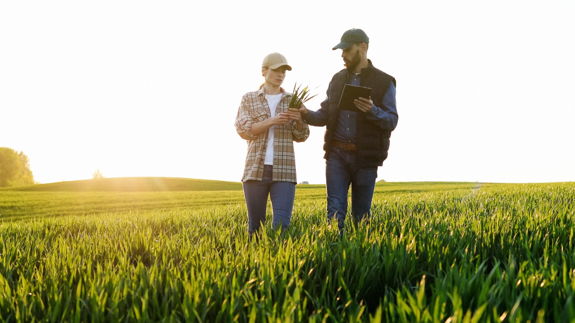 Indigo Ag’s Carbon Collaborations Open Sustainability Market Doors for